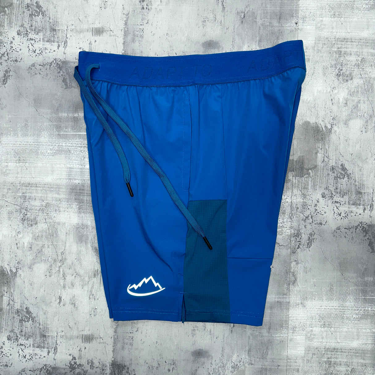 Adapt To Assist Shorts Teal